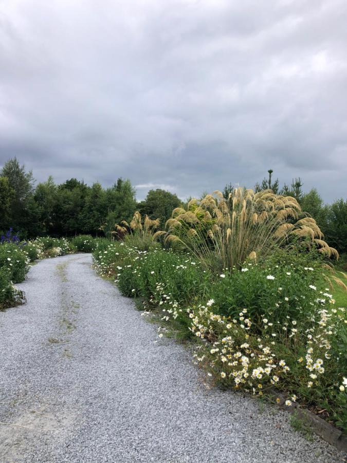 Isserkelly House Clonbur Eksteriør bilde